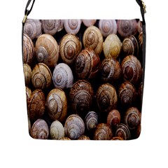 Snail Shells Pattern Arianta Arbustorum Flap Closure Messenger Bag (l) by artworkshop