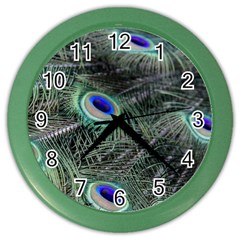 Plumage Peacock Feather Colorful Color Wall Clock by Sapixe