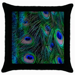 Beautiful Peacock Feathers Throw Pillow Case (black) by Ravend