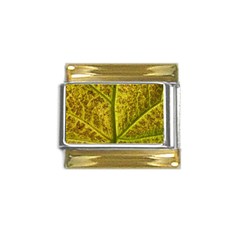 Leaf Structure Texture Background Gold Trim Italian Charm (9mm) by Wegoenart