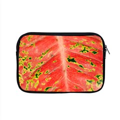 Aglonema Leaf Plant Pattern Flora Apple Macbook Pro 15  Zipper Case by danenraven