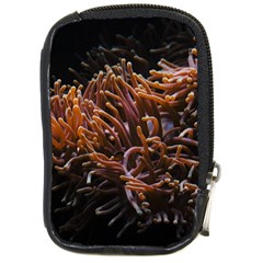 Sea Anemone Coral Underwater Ocean Sea Water Compact Camera Leather Case by Wegoenart