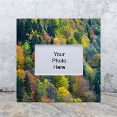 Forest Trees Leaves Fall Autumn Nature Sunshine White Box Photo Frame 4  X 6 