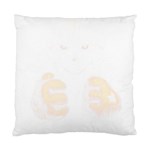 Boxing Cat Standard Cushion Case (Two Sides) Front