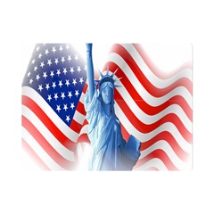 Statue Of Liberty And Usa Flag Art Premium Plush Fleece Blanket (mini) by danenraven