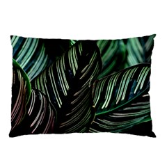 Calathea Leaves Strippe Line Pillow Case (two Sides) by Ravend