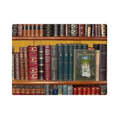 Books-library-bookshelf-bookshop Premium Plush Fleece Blanket (mini) by Ravend