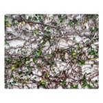 Climbing Plant At Outdoor Wall Two Sides Premium Plush Fleece Blanket (Large) Blanket Back