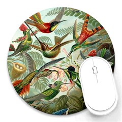 Humming Birds Trochilidae Round Mousepad by Pakjumat