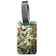 Humming Birds Trochilidae Luggage Tag (two Sides) by Pakjumat