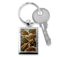 Turtles Leatherback Sea Turtle Key Chain (rectangle) by Pakjumat