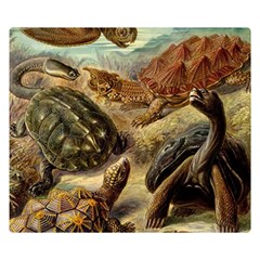 Turtles Leatherback Sea Turtle Premium Plush Fleece Blanket (small) by Pakjumat