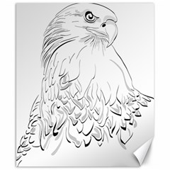 Eagle Birds Of Prey Raptor Canvas 8  X 10  by Modalart