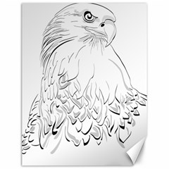 Eagle Birds Of Prey Raptor Canvas 12  X 16  by Modalart