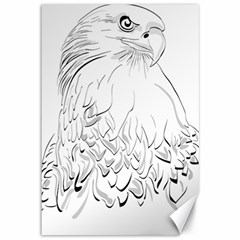 Eagle Birds Of Prey Raptor Canvas 12  X 18  by Modalart