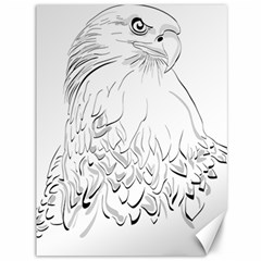 Eagle Birds Of Prey Raptor Canvas 36  X 48  by Modalart