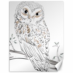 Owl Bird Wildlife Bird Of Prey Canvas 12  X 16  by Modalart