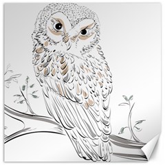 Owl Bird Wildlife Bird Of Prey Canvas 20  X 20  by Modalart