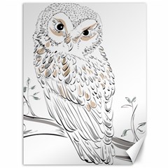 Owl Bird Wildlife Bird Of Prey Canvas 36  X 48  by Modalart