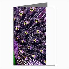 Peacock Bird Color Greeting Cards (pkg Of 8) by Cendanart