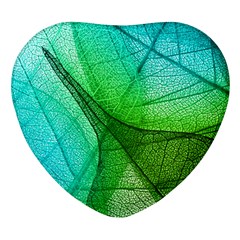 Sunlight Filtering Through Transparent Leaves Green Blue Heart Glass Fridge Magnet (4 Pack) by Ket1n9