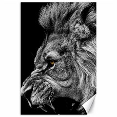 Angry Male Lion Roar Wild Animal Canvas 24  X 36  by Cendanart