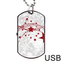 Christmas Star Snowflake Dog Tag Usb Flash (one Side) by Ket1n9