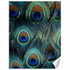 Feathers Art Peacock Sheets Patterns Canvas 12  X 16  by Ket1n9