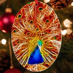 Fractal Peacock Art Uv Print Acrylic Ornament Oval by Ket1n9