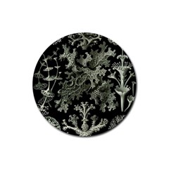 Weave Haeckel Lichenes Photobionten Rubber Round Coaster (4 Pack) by Cemarart