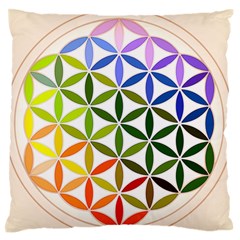 Mandala Rainbow Colorful Large Premium Plush Fleece Cushion Case (one Side)