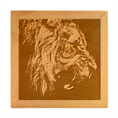 Angry Male Lion Predator Carnivore Wood Photo Frame Cube by Ndabl3x