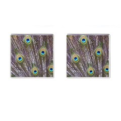 Peacock Bird Feathers Plumage Peacock Cufflinks (square) by Perong