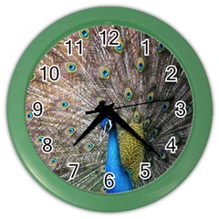 Peacock Bird Animal Peafowl Color Wall Clock by Perong