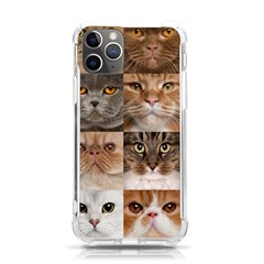 Breeds Of Cats Collage Iphone 11 Pro 5 8 Inch Tpu Uv Print Case by kyorashop23