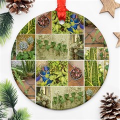 Garden Sanctuary Photo Collage Print Round Ornament (two Sides) by dflcprintsclothing