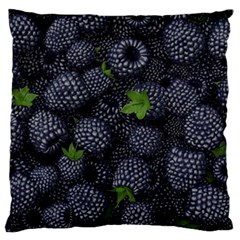 Blackberry Fruit, Fruit Standard Premium Plush Fleece Cushion Case (one Side)