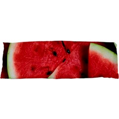 Watermelon, Fruit, Green, Red 21 x63  Body Pillow Case Dakimakura (two Sides)