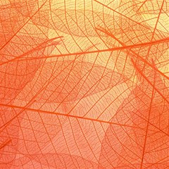 Abstract Texture Of Colorful Bright Pattern Of Transparent Leaves Of Orange And Yellow Color Play Mat (rectangle) by Posterlux