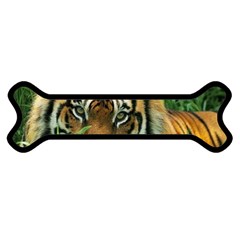 Tiger Magnet (dog Bone)